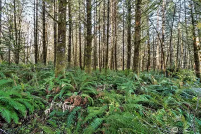 0 SE Totten Shores Drive, Shelton, WA 98584 - Photo 14