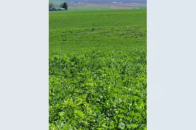 1612 Katen Road, Ellensburg, WA 98926 - Photo 4
