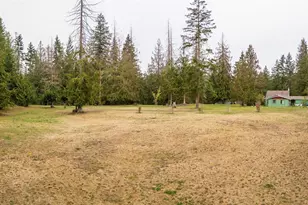 789 Marshall Rd, Sequim, WA 98382 - Photo 28