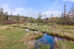4466 W State Route 108, Shelton, WA 98584 - Photo 32