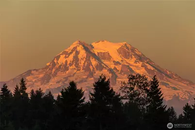 9512 Engelmann Drive SE, Lacey, WA 98513 - Photo 18