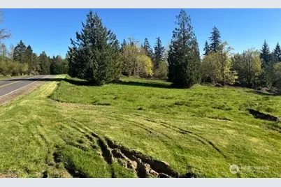0 Grimm Road, Kelso, WA 98626 - Photo 10