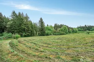 2637 140th Ave SW, Tenino, WA 98589 - Photo 8
