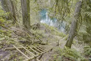 1319 Winlock-Vader Rd, Winlock, WA 98596 - Photo 6