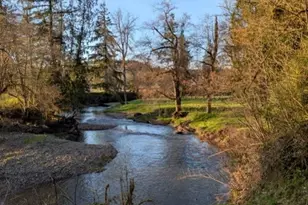 1319 Winlock-Vader Rd, Winlock, WA 98596 - Photo 26