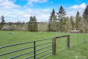 1319 Winlock-Vader Rd, Winlock, WA 98596 - Photo 12