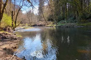 1319 Winlock-Vader Rd, Winlock, WA 98596 - Photo 18