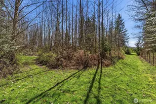 337 Jorgensen Rd, Onalaska, WA 98570 - Photo 16