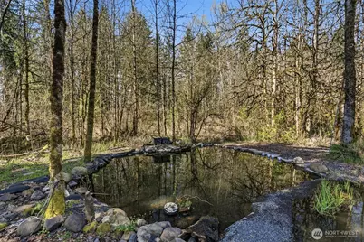 337 Jorgensen Road, Onalaska, WA 98570 - Photo 14