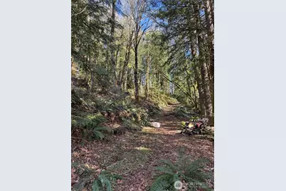 15215 320th Street NE, Arlington, WA 98223 - Photo 6