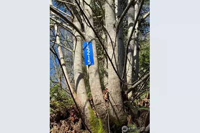 15215 320th Street NE, Arlington, WA 98223 - Photo 4