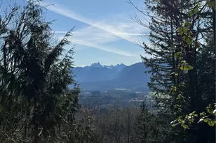 15215 320th Street NE, Arlington, WA 98223 - Photo 1