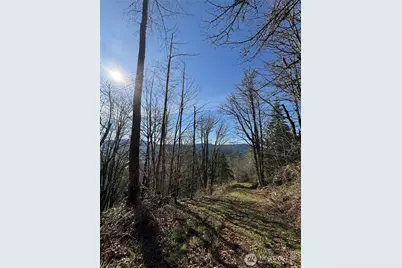 15215 320th Street NE, Arlington, WA 98223 - Photo 12