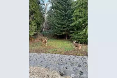 554 Wildwood Drive, Sedro Woolley, WA 98284 - Photo 30