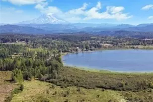 40325 Dean Kreger Rd E, Eatonville, WA 98328 - Photo 1