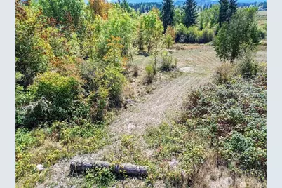 40325 Dean Kreger Road E, Eatonville, WA 98328 - Photo 4