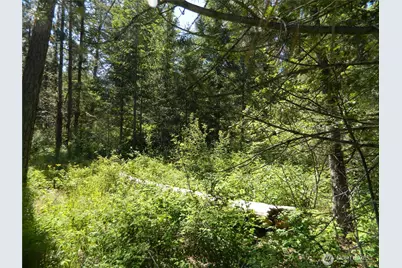 0 Tbd Murphy Ranch Road, Tonasket, WA 98855 - Photo 6