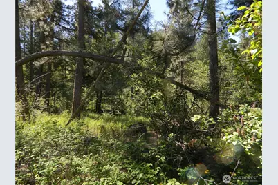 0 Tbd Murphy Ranch Road, Tonasket, WA 98855 - Photo 2