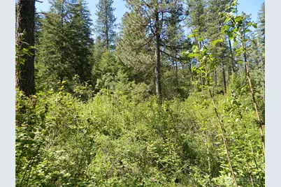 0 Tbd Murphy Ranch Road, Tonasket, WA 98855 - Photo 4