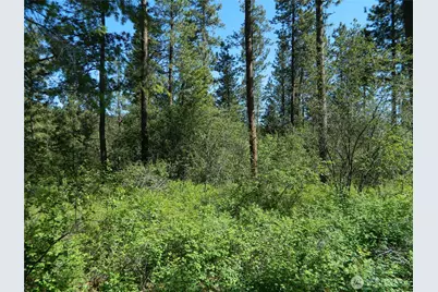 111 Tbd Murphy Ranch Road, Tonasket, WA 98855 - Photo 1
