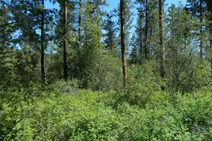 111 Tbd Murphy Ranch Rd, Tonasket, WA 98855 - Photo 1