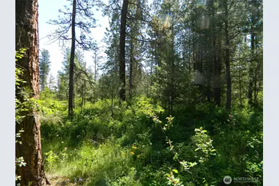 111 Tbd Murphy Ranch Road, Tonasket, WA 98855 - Photo 6