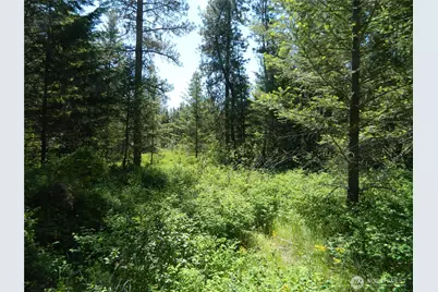 111 Tbd Murphy Ranch Road, Tonasket, WA 98855 - Photo 8