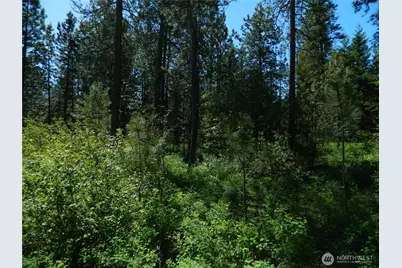 111 Tbd Murphy Ranch Road, Tonasket, WA 98855 - Photo 4