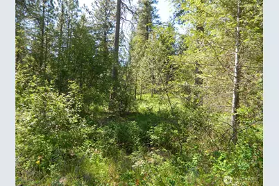 111 Tbd Murphy Ranch Road, Tonasket, WA 98855 - Photo 2