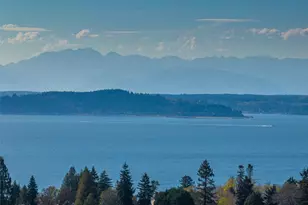 6320 41st Ave SW, Seattle, WA 98136 - Photo 34