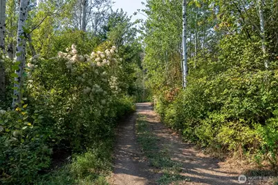 96 Alder Creek Road, Twisp, WA 98856 - Photo 36