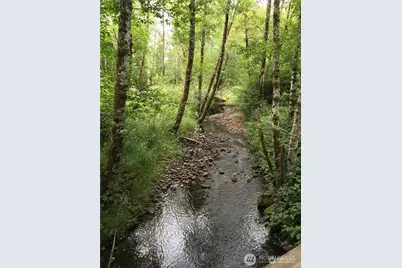 413 Morse Street, Ryderwood, WA 98581 - Photo 30