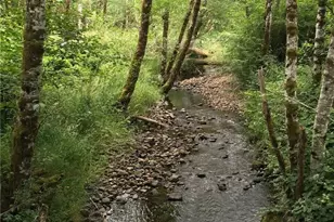 413 Morse St, Ryderwood, WA 98581 - Photo 30