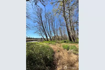 1554 State Route 508, Onalaska, WA 98570 - Photo 22