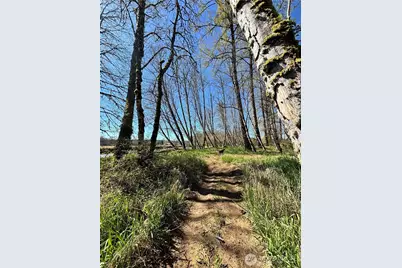 1554 State Route 508, Onalaska, WA 98570 - Photo 20