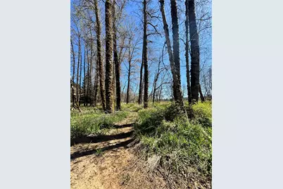 1554 State Route 508, Onalaska, WA 98570 - Photo 14