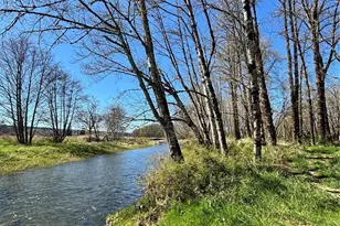 1554 State Route 508, Onalaska, WA 98570 - Photo 1