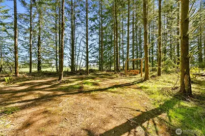 217 Bay Road, Winlock, WA 98596 - Photo 30