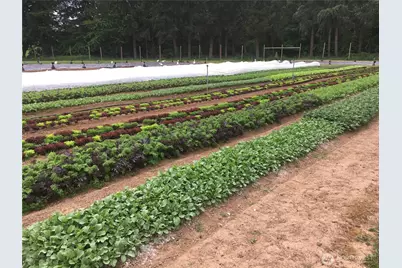 217 Bay Road, Winlock, WA 98596 - Photo 34