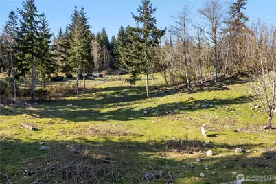 13113 Algyer Road SE, Rainier, WA 98576 - Photo 34