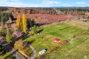 2880 Creasey Rd, Custer, WA 98240 - Photo 4