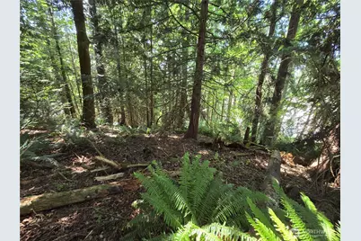 100 210th Avenue NE, Sammamish, WA 98074 - Photo 22