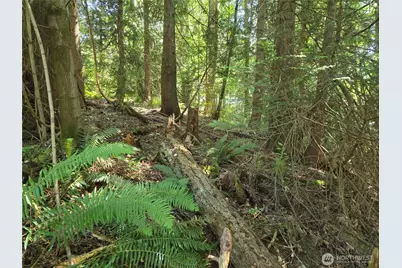 100 210th Avenue NE, Sammamish, WA 98074 - Photo 18