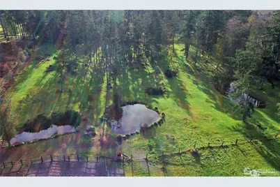 288 Torrence Lane, Oak Harbor, WA 98277 - Photo 4