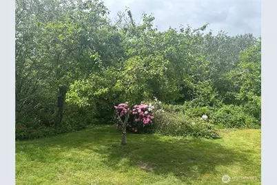 3756 State Route 105, Tokeland, WA 98590 - Photo 36