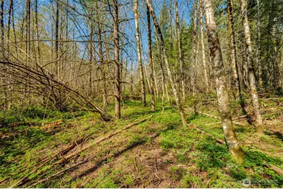 0 Buncombe Hollow Road NE, Woodland, WA 98674 - Photo 8