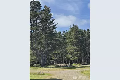 1911 Ocean Beach Boulevard S, Long Beach, WA 98631 - Photo 26