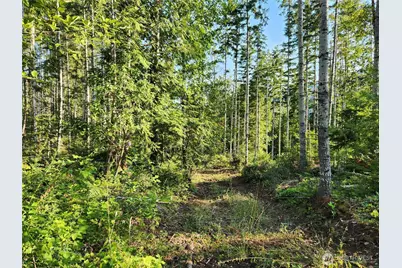 0 Rocky Brook Rd #Lot I, Brinnon, WA 98320 - Photo 4