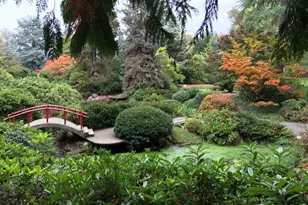 9643 56th Ave S, Seattle, WA 98118 - Photo 30