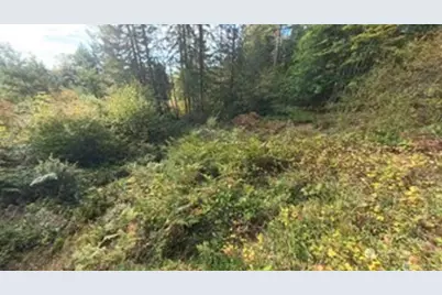 130 Lot: B, Ptn Blk: 15, Hoodsport, WA 98548 - Photo 4